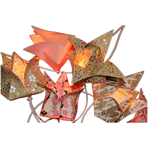 Image de Champ de Lumières